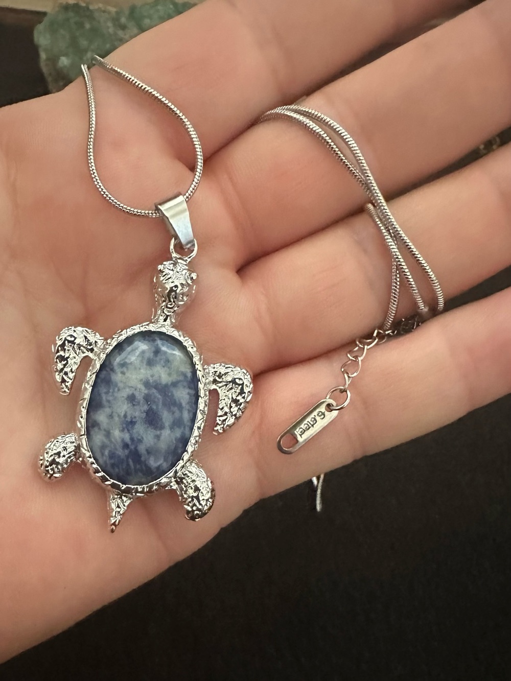 Sterling Silver Turtle Pendant Necklace with Blue Stone Sodelite